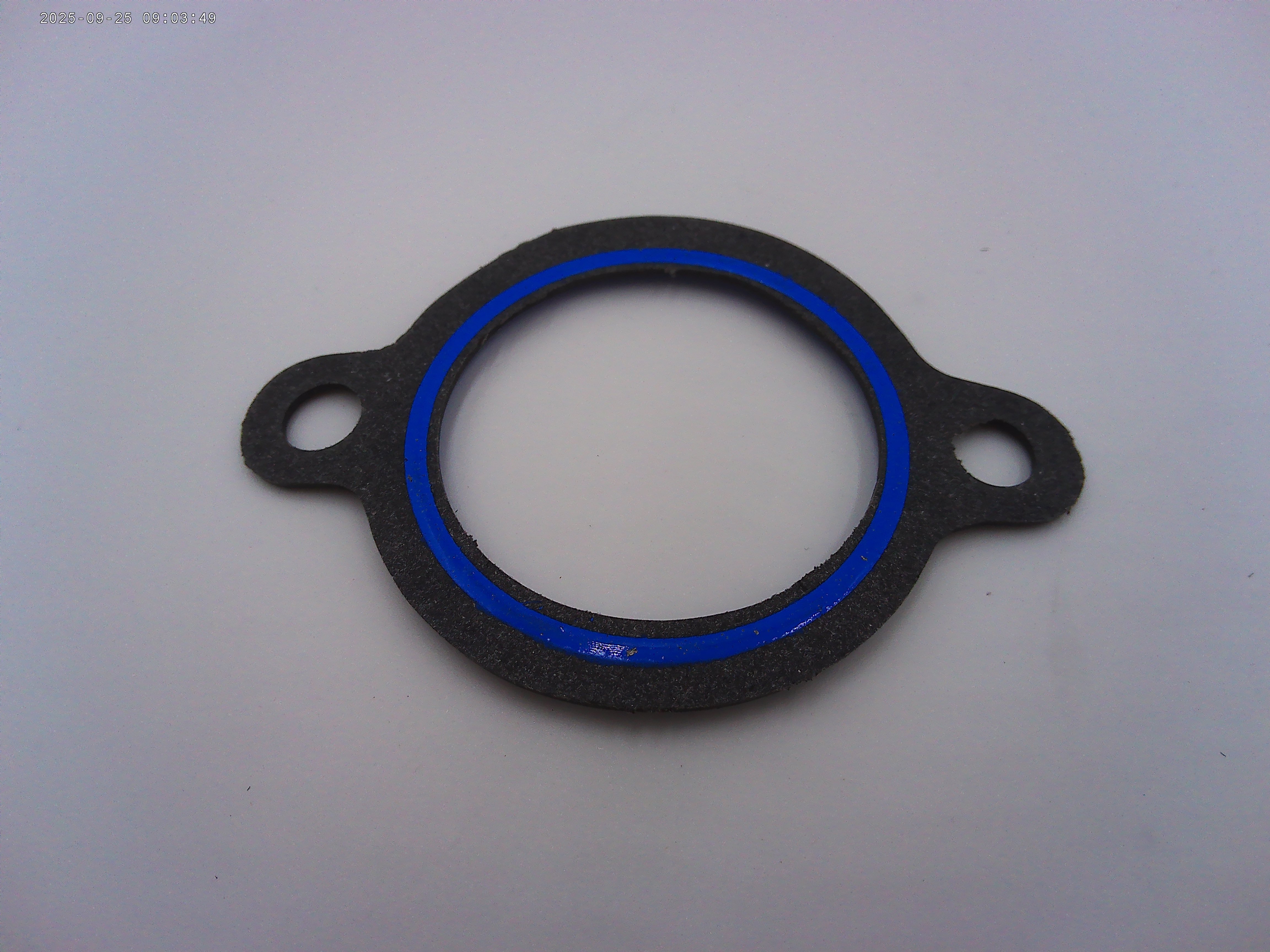 GASKET, THERMOSTAT HOUSING/G 1